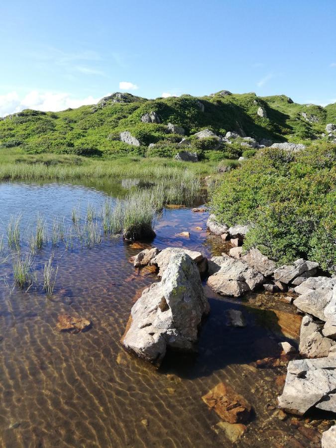 Chambres Et Tables D'Hotes Le Choton A Nono - Col Du Joly Beaufortain Hauteluce Εξωτερικό φωτογραφία