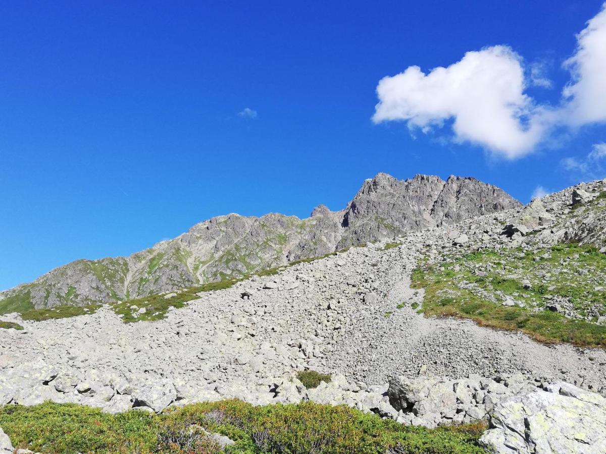 Chambres Et Tables D'Hotes Le Choton A Nono - Col Du Joly Beaufortain Hauteluce Εξωτερικό φωτογραφία