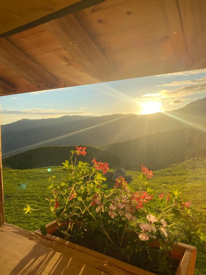 Chambres Et Tables D'Hotes Le Choton A Nono - Col Du Joly Beaufortain Hauteluce Εξωτερικό φωτογραφία
