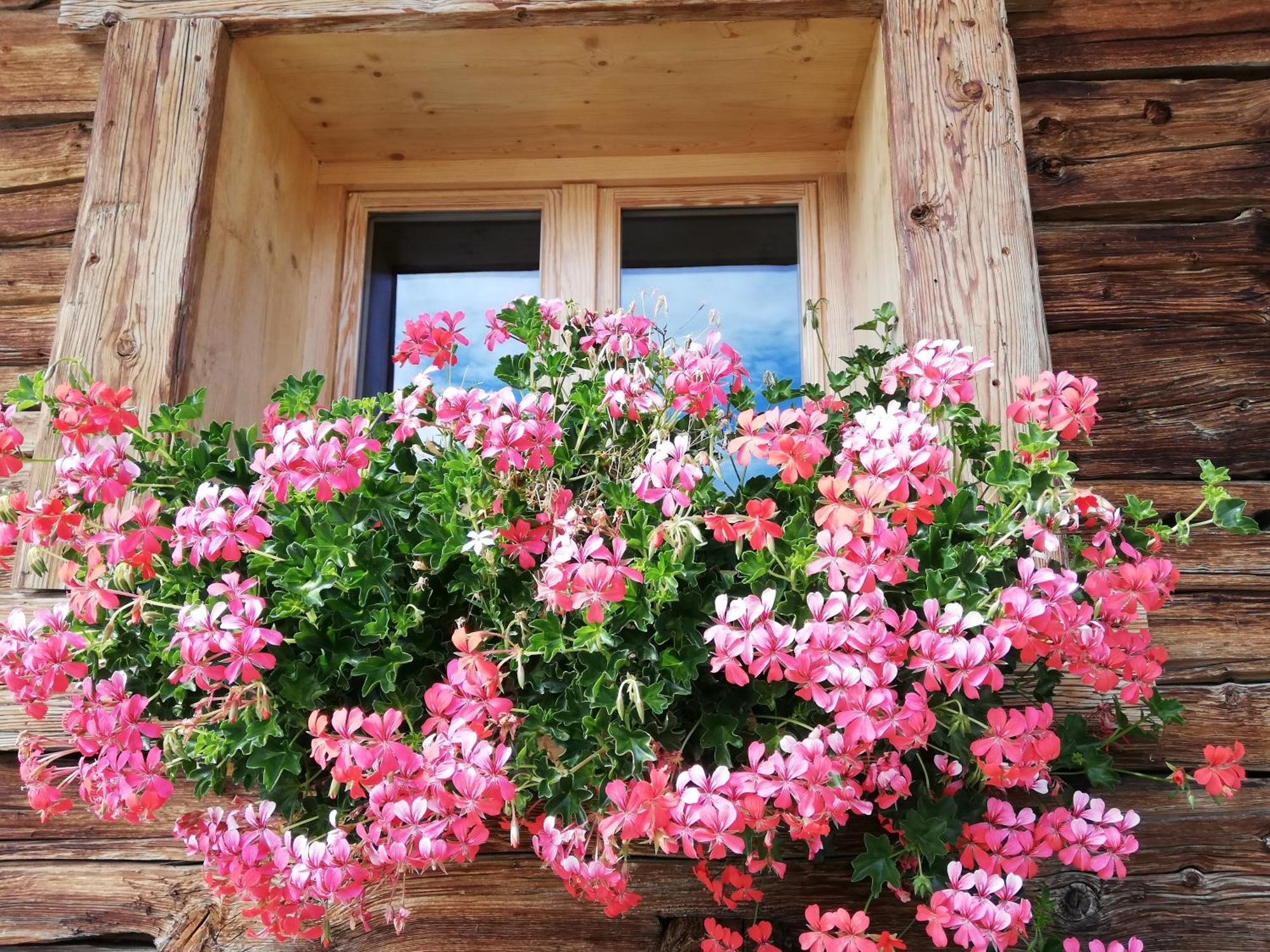 Chambres Et Tables D'Hotes Le Choton A Nono - Col Du Joly Beaufortain Hauteluce Εξωτερικό φωτογραφία